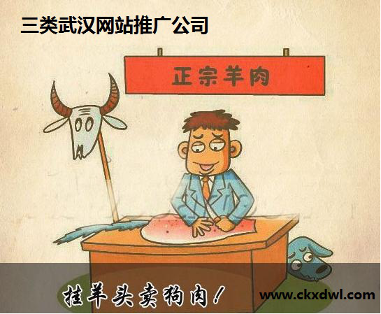 武汉网站推广公司的活法与死法！